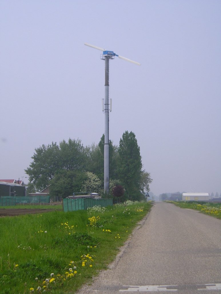 buizerd